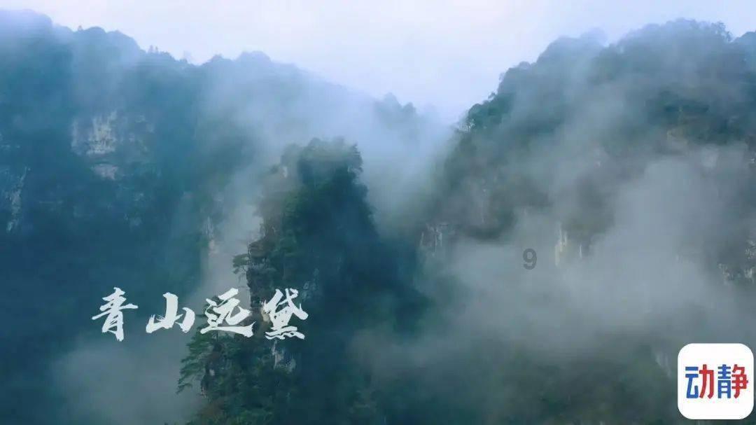 正确戴口罩步骤-知识星球平台|分享与探索